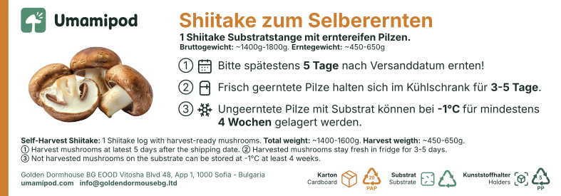 Shiitake